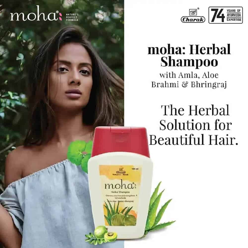 Best Herbal Hair Wash Powder shikakai  chemical free conditionerhairfall